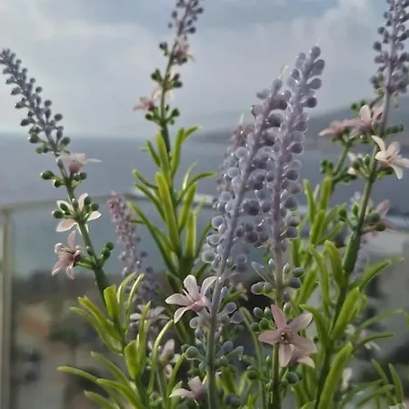 Apartamento Sadet's Penthouse Saranda