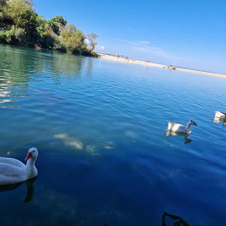 Apartament Sadet's Penthouse Saranda