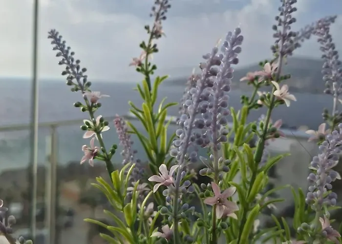 Appartamento Sadet's Penthouse