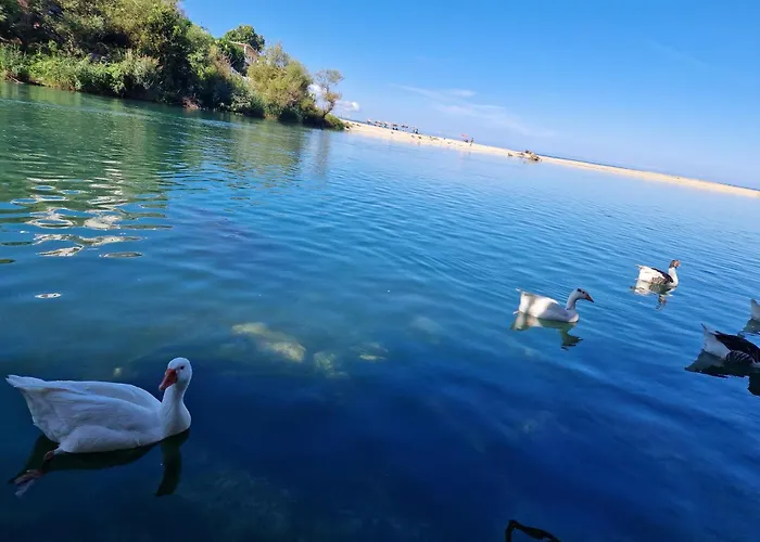 Appartamento Sadet's Penthouse Sarandë